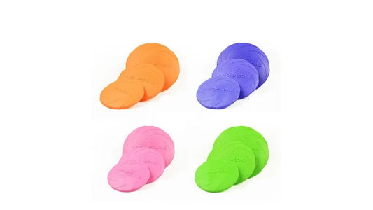 FRISBY DE GOMA RESISTENTE PJ09A15CM