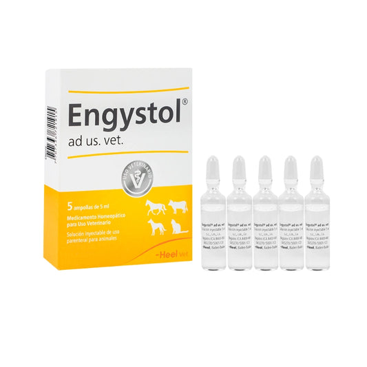 ENGYSTOL * AMPOLLETA