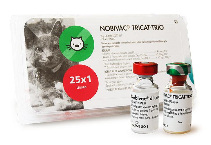 VACUNA NOBIVAC TRICAT TRIO